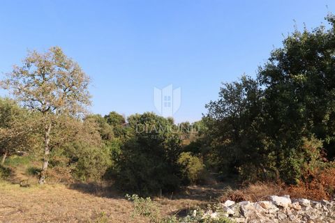 Location: Istarska županija, Bale, Bale. Istria, Bale Municipality - Building Land In a picturesque village within the municipality of Bale, you will find this beautiful building plot with a total area of 568 m². The land is located on a sunny side i...