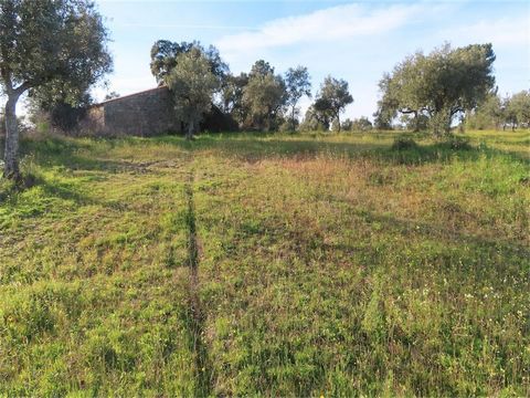 A Magnificent Organic  fenced farm with a total area of 8.875 m2. This property is home to a small stone building with an area 20m2 square meters, ideal for storage built in granite stone and with a new roof. It is served by a well with plenty of wat...