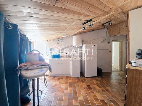 photo no. 11