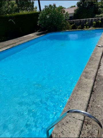 photo no. 8