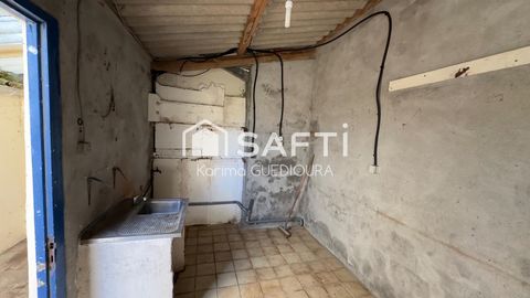 photo no. 15
