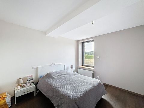 photo no. 6