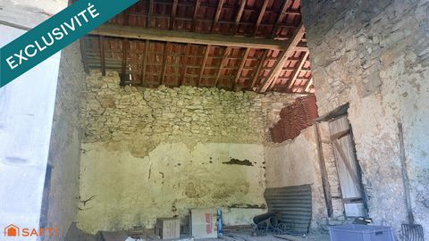 photo no. 10
