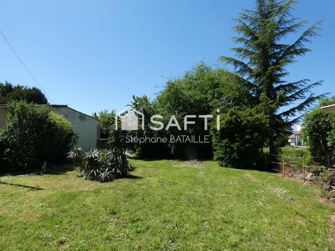 photo no. 11