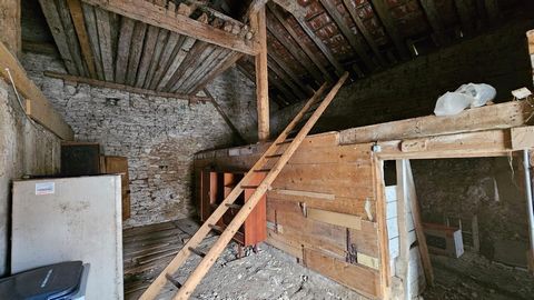 photo no. 8