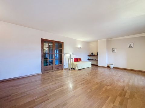 photo no. 10