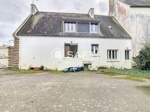 photo no. 16
