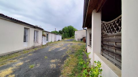 photo no. 12
