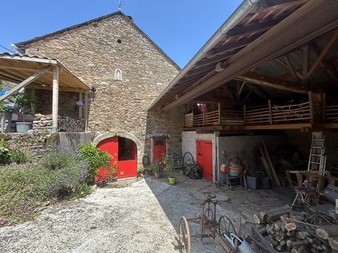 photo no. 19