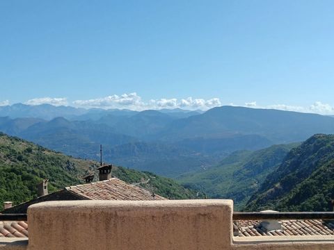 photo no. 13