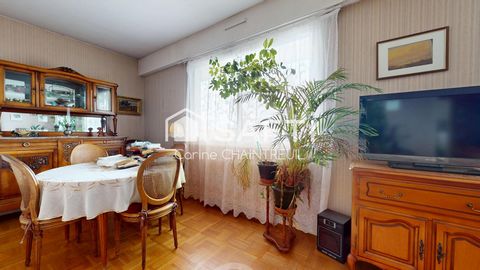 photo no. 2