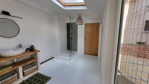 photo no. 11