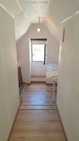 photo no. 6