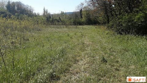 photo no. 2