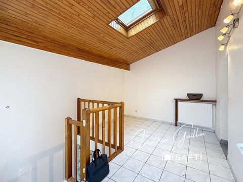 photo no. 6