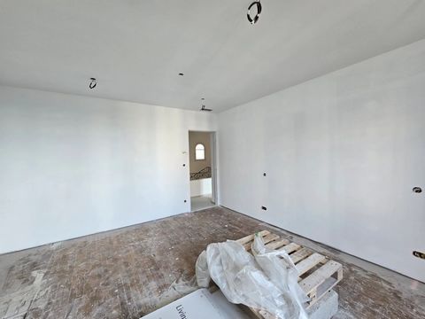 photo no. 9