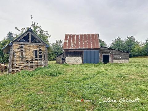 photo no. 14