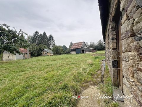 photo no. 15