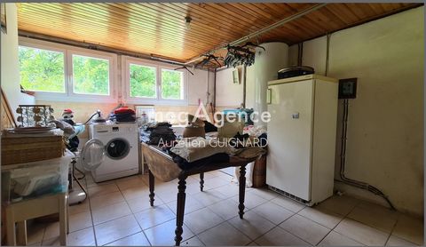 photo no. 11