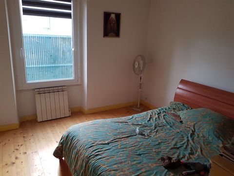 photo no. 10