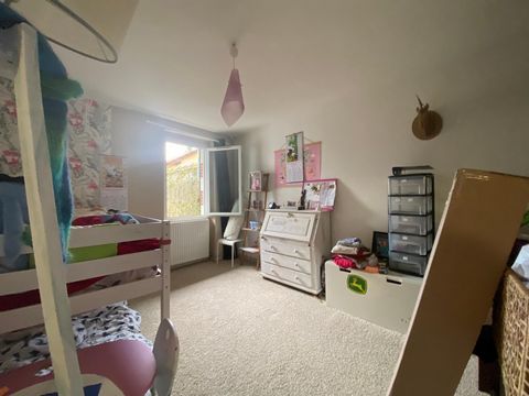 photo no. 9
