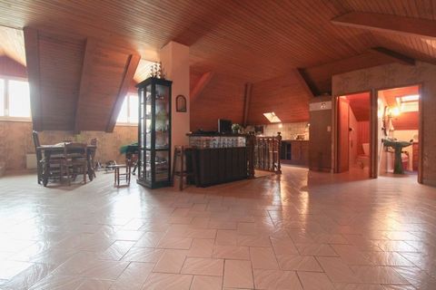 photo no. 16
