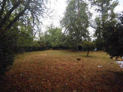 photo no. 12