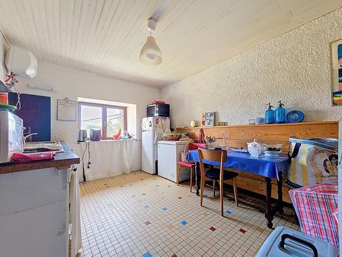 photo no. 8
