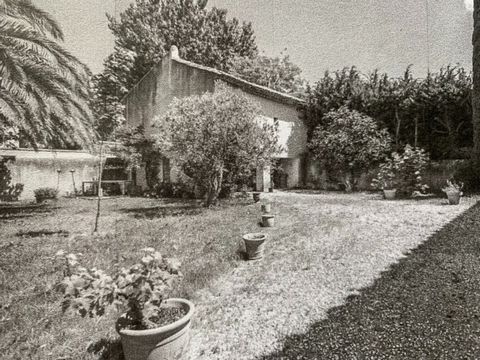 photo no. 10