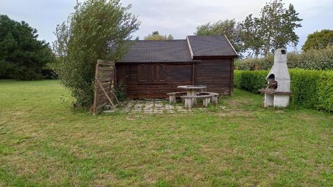 photo no. 2