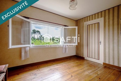photo no. 11