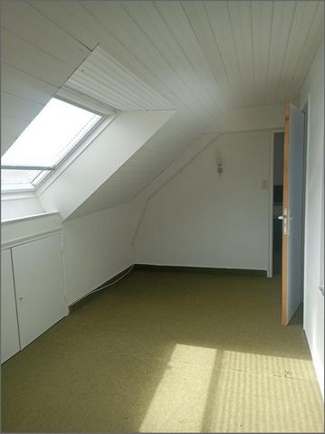 photo no. 14