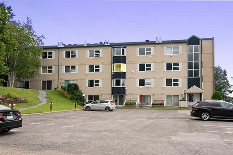 Le Scandinave phase II. Pied-à-terre au mont Sainte-Anne avec une vue et activités 4 saisons (ski, vélo, raquette, randonnée). Situé au 3e étage avec ascenseur, studio à aire ouverte entièrement meublé, piscine, BBQ, tennis, salle de réception, salle...