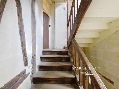 photo no. 6