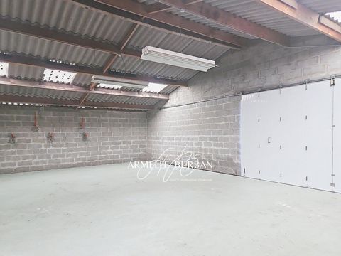 photo no. 11