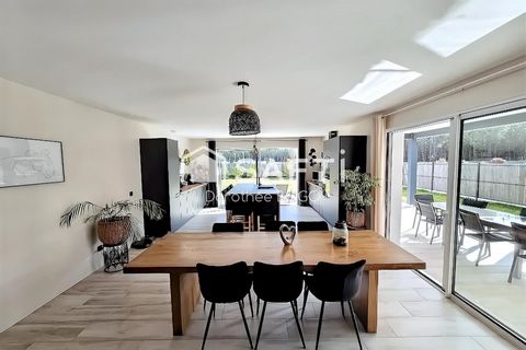 photo no. 2