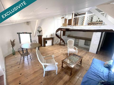 Appartement duplex entièrement rénové