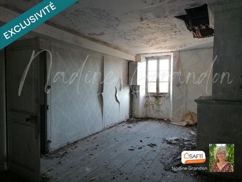 photo no. 15