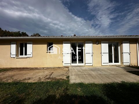 photo no. 5