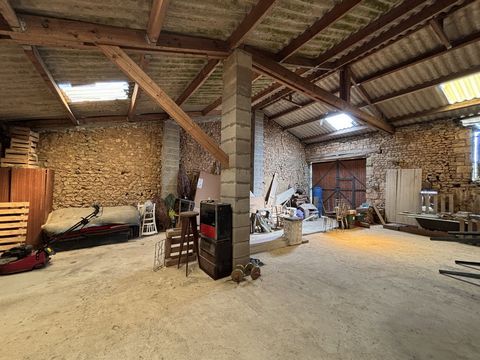 photo no. 5
