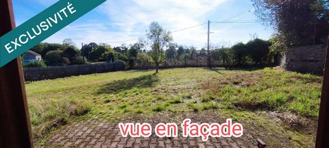 photo no. 12