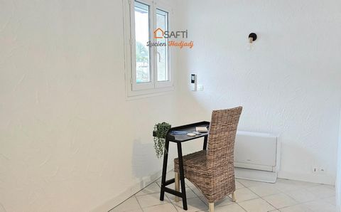 photo no. 11