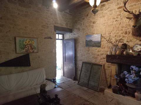 photo no. 17