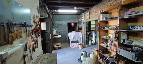 photo no. 16