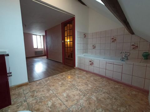 photo no. 11