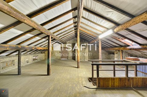 photo no. 4