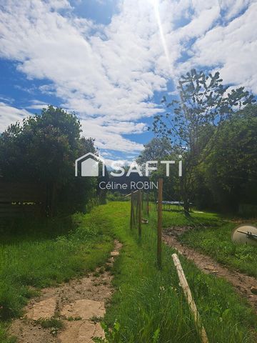 photo no. 19