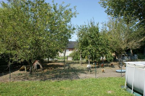photo no. 15