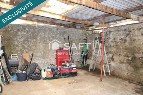 photo no. 13