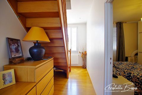 photo no. 7